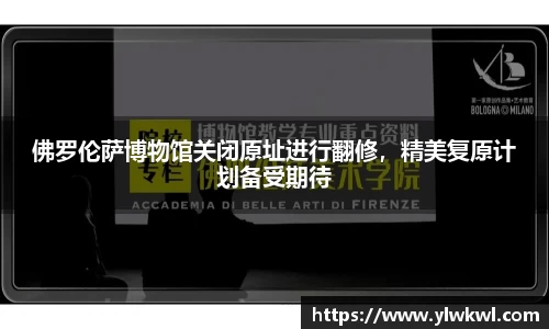 333体育app