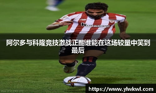 333体育