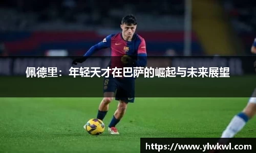 333体育官网