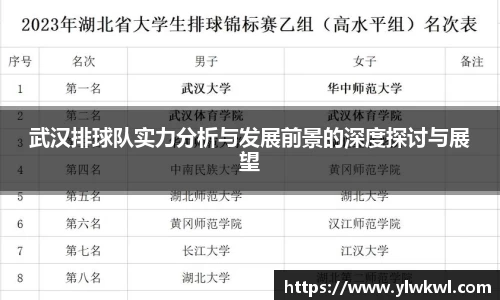 武汉排球队实力分析与发展前景的深度探讨与展望
