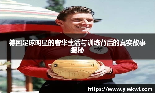 333体育官网